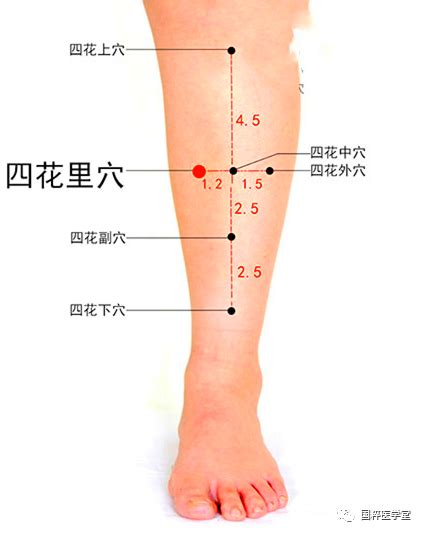 四花上穴